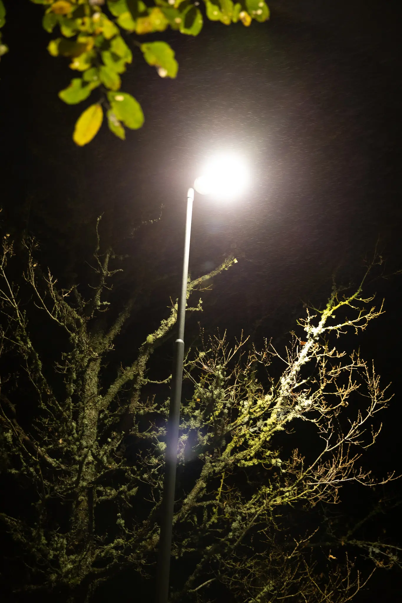 Hångers elljusspår | Light by Sweden