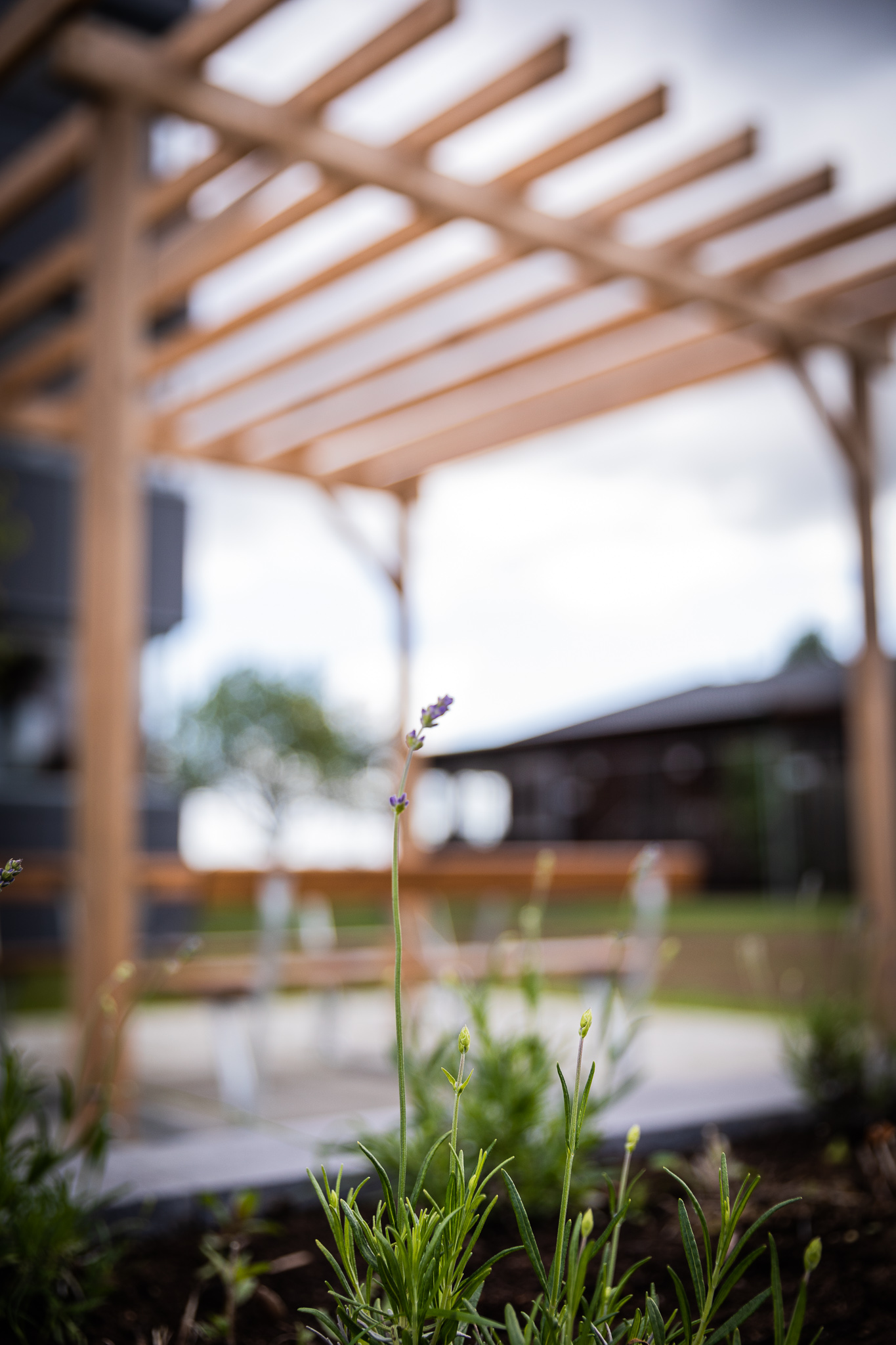 Belysning till Tranemo bostäder | Light by Sweden